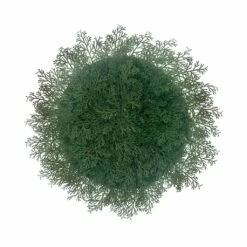 Hot Sale 🧨 Fern 🎄 Christmas Placemat by Celebrate It™ 🎁