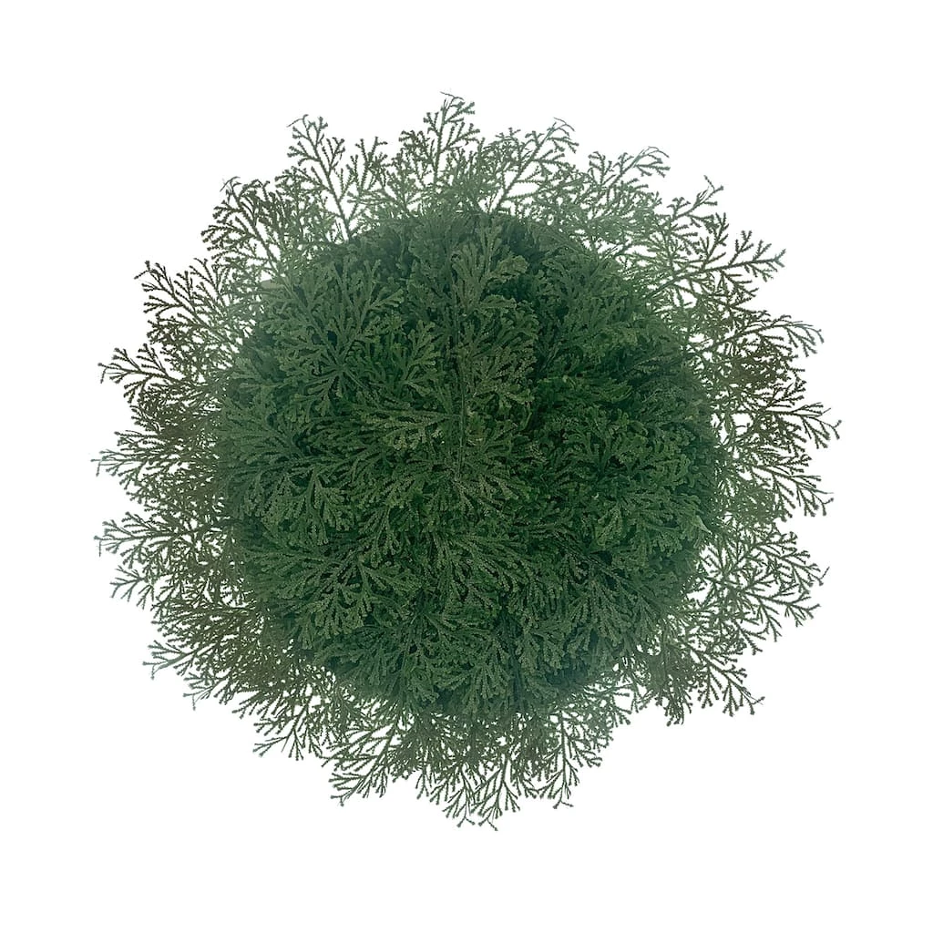 Hot Sale ๐งจ Fern ๐ Christmas Placemat by Celebrate It™ ๐