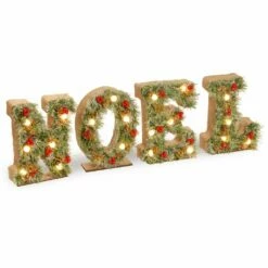 Budget ✨ 3ft. Pre-Lit LED Noel Decoration by National Tree Company 🛒