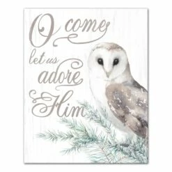 Brand new ๐ฏ O Come Let Us Adore Him Owl Canvas Wall Art by Designs Direct ๐