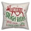 Best Pirce ⭐ Designs Direct Reindeer Sleigh Rides 18x18 Throw Pillow 💯