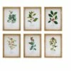 Deals 🧨 10.5" x 14.25" Framed Winter Foliage Set by Melrose ⌛