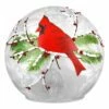 Best reviews of 😀 Haute Decor 6" Lighted Cardinal ❄ Christmas Globe 🔥
