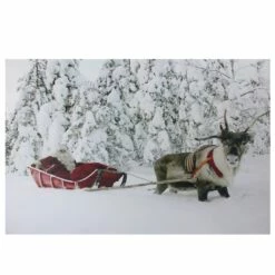 Best Sale 😀 Fiber Optic Lighted Santa In His Sleigh Canvas Wall Art by Northlight 🛒