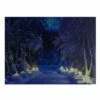 New 🤩 LED Lighted Nighttime In The Woods Winter Scene Canvas Wall Art by Northlight 🔥