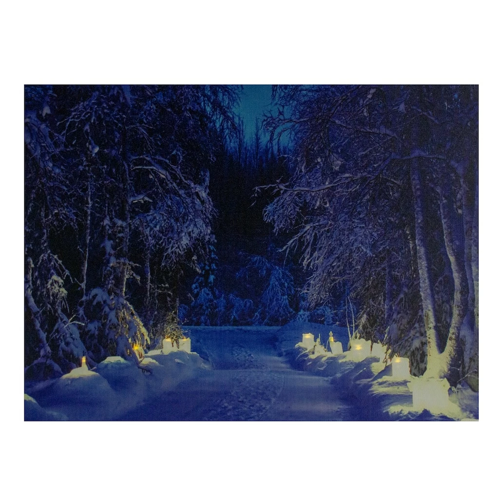 New 🤩 LED Lighted Nighttime In The Woods Winter Scene Canvas Wall Art by Northlight 🔥