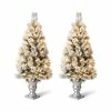 Outlet 🛒 4ft. Pre-Lit Flocked Pine Artificial 🎄 Christmas Tree in Planter Set, Warm White LED Lights by Glitzhome 🎉