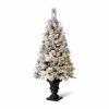 Best deal 👍 4ft. Pre-Lit Flocked Pine Artificial 🎄 Christmas Tree in Planter, Warm White LED Lights by Glitzhome ✔️