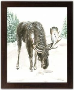 Buy 🔥 Winter Moose Walnut Framed Print Under Plexiglass by Designs Direct 👍