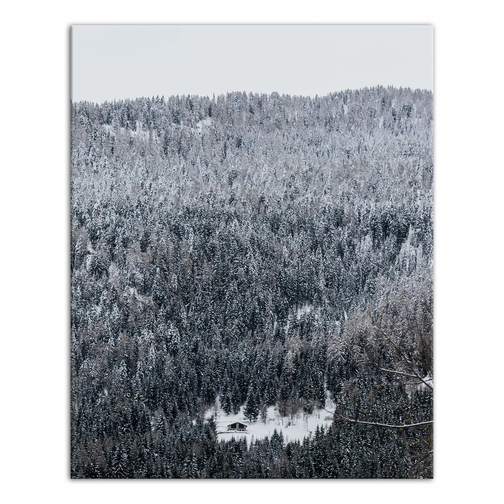 Buy π Unsplash Cabin Snowy Woods 16x20 Canvas Wall Art by Designs Direct β¨