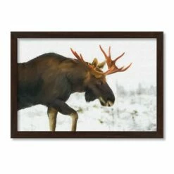 Best Pirce โญ Moose in The Snow Black Framed Print Under Plexiglass by Designs Direct ๐