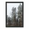 Budget 🥰 Dusty Trees Black Framed Print Under Plexiglass by Designs Direct 🤩