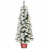Budget 🎉 5ft. Snowy Pogue Pine Entrance Artificial 🎄 Christmas Tree in Red Base, Warm White LED Lights by National Tree Company 🔥