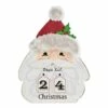 Coupon 👏 DII® Santa Head Days 'Til 🎅 Christmas Advent Calendar ⌛