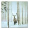 Wholesale 😍 Buck In Woods Canvas Wall Art by Designs Direct 😀